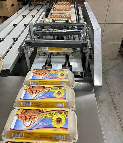 System zarządzania bezpieczeństwem żywnościowym HACCP wg Codex Alimentarius